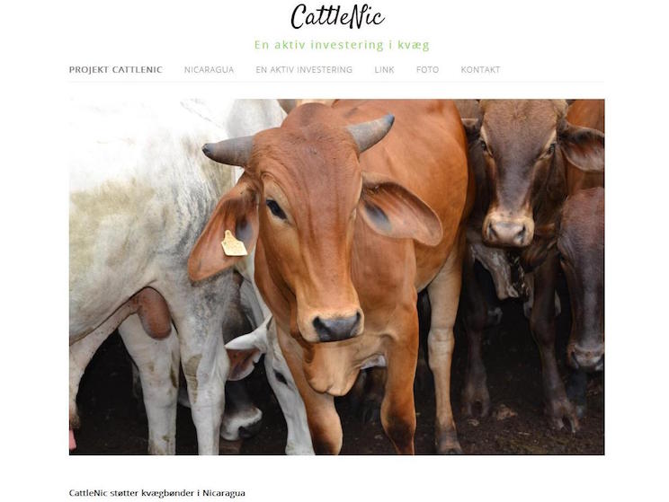 Inversionistas daneses satisfechos con oportunidades empresariales en Nicaragua